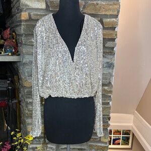NWT H&M Shimmering Silver Long Sleeve Blouse